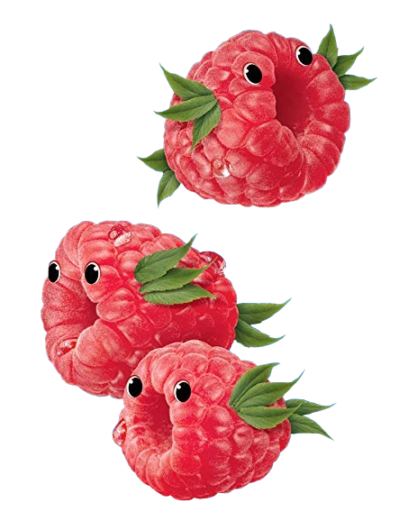 raspberry fish